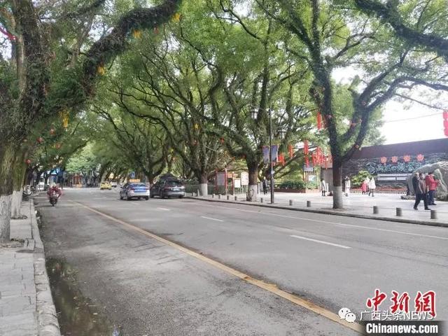 广西什么时候能解封（广西各地逐步解封）(3)