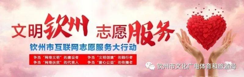 适合青少年看的红色故事书籍（荐书少年儿童必读的红色经典故事）(9)