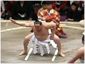 日本相扑十大特点（日本大相扑文化与竞技）(4)