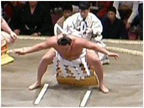 日本相扑十大特点（日本大相扑文化与竞技）(5)