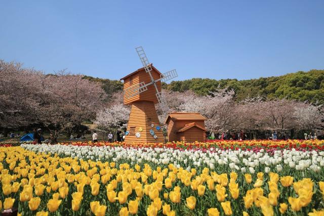 苏州上方山国家森林公园好玩吗（苏州上方山森林公园）(28)