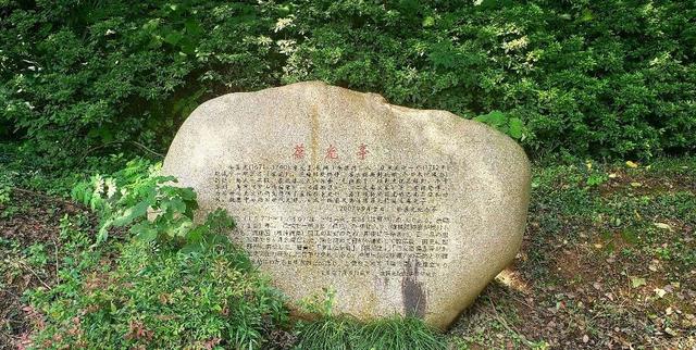 苏州上方山国家森林公园好玩吗（苏州上方山森林公园）(24)