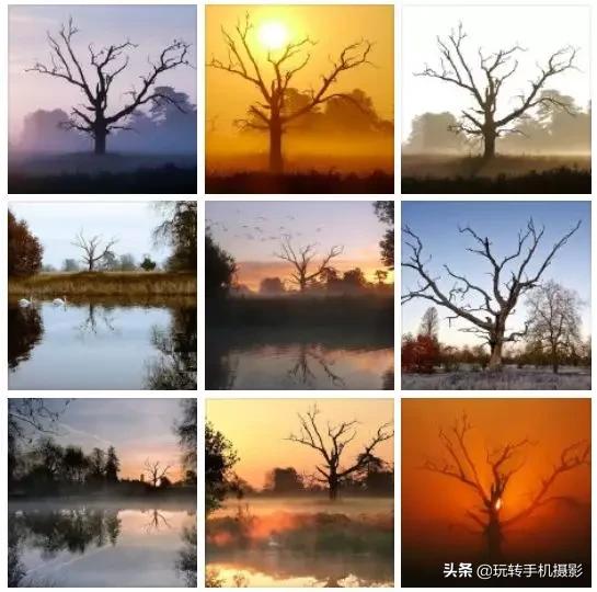 九宫格的配图大全（晒图最佳九宫格）(42)