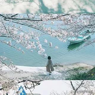 九宫格的配图大全（晒图最佳九宫格）(13)