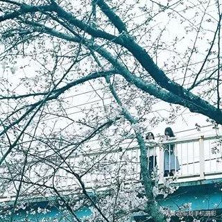 九宫格的配图大全（晒图最佳九宫格）(16)