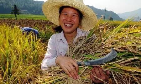感恩遇见的简短句子，感谢经理的短句子？图9