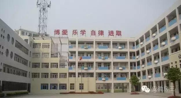 合肥哪些顶级学区房（合肥最优质小学学区房价格一览）(6)
