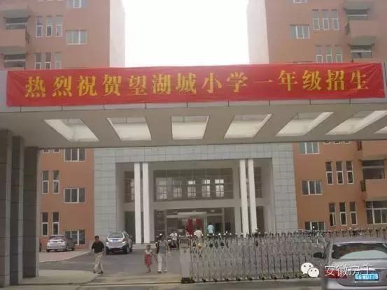 合肥哪些顶级学区房（合肥最优质小学学区房价格一览）(37)