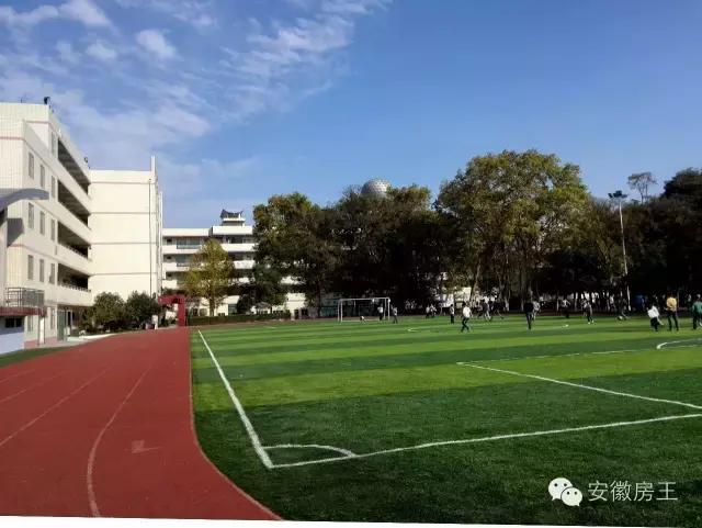 合肥哪些顶级学区房（合肥最优质小学学区房价格一览）(33)