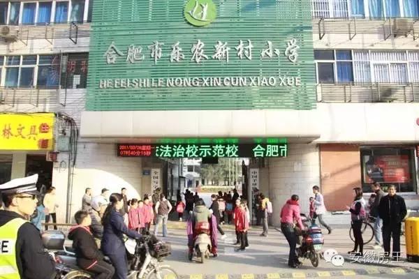 合肥哪些顶级学区房（合肥最优质小学学区房价格一览）(16)