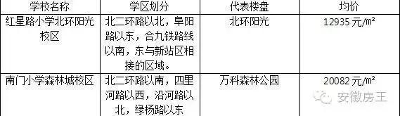 合肥哪些顶级学区房（合肥最优质小学学区房价格一览）(14)