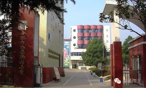 合肥哪些顶级学区房（合肥最优质小学学区房价格一览）(22)