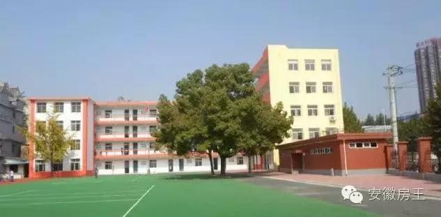 合肥哪些顶级学区房（合肥最优质小学学区房价格一览）(47)