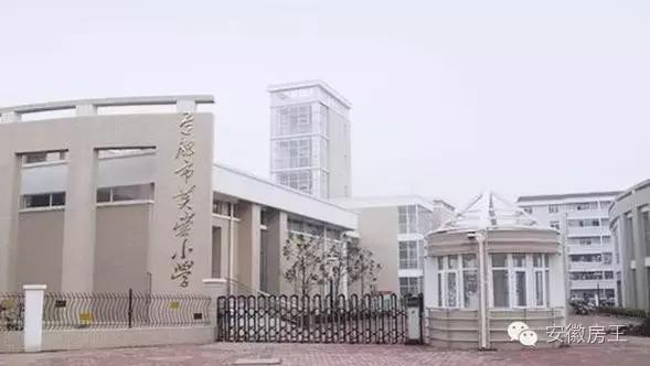 合肥哪些顶级学区房（合肥最优质小学学区房价格一览）(54)