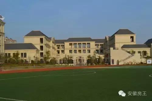 合肥哪些顶级学区房（合肥最优质小学学区房价格一览）(52)