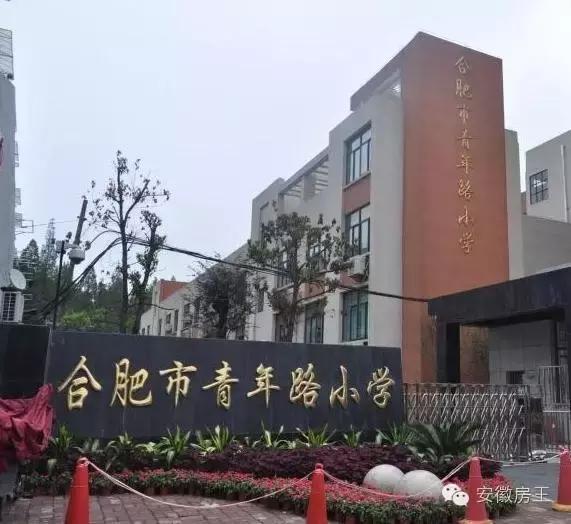 合肥哪些顶级学区房（合肥最优质小学学区房价格一览）(29)