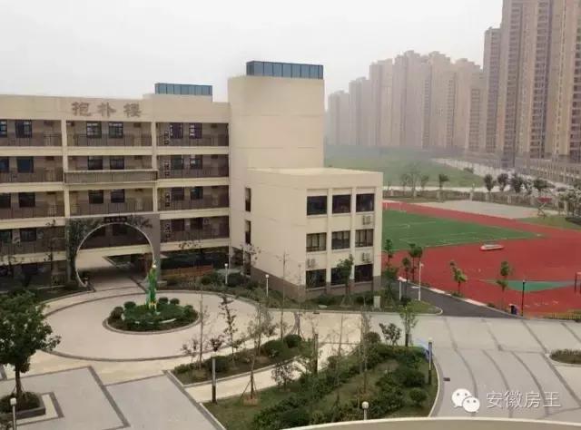 合肥哪些顶级学区房（合肥最优质小学学区房价格一览）(56)