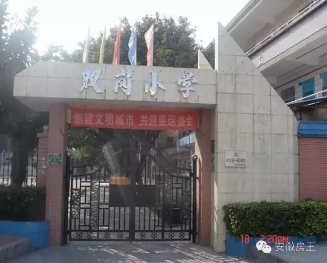 合肥哪些顶级学区房（合肥最优质小学学区房价格一览）(12)