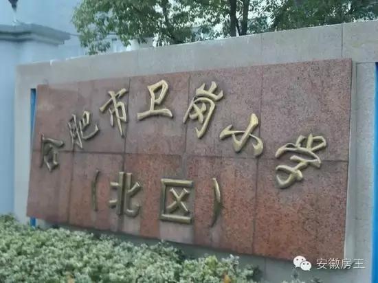 合肥哪些顶级学区房（合肥最优质小学学区房价格一览）(35)