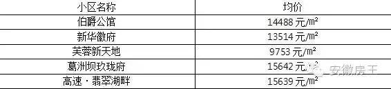 合肥哪些顶级学区房（合肥最优质小学学区房价格一览）(55)