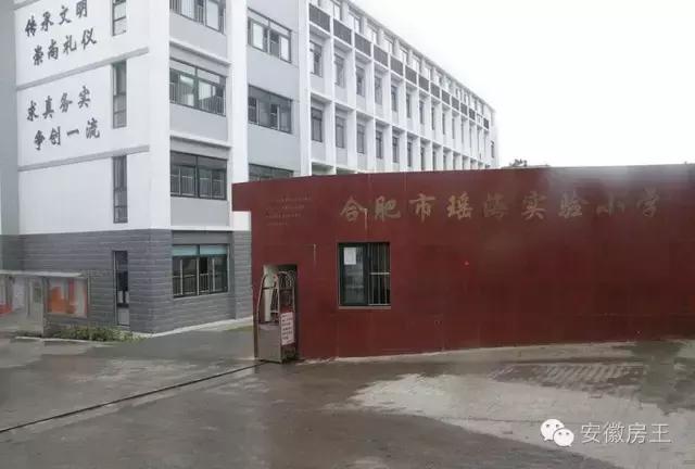 合肥哪些顶级学区房（合肥最优质小学学区房价格一览）(45)