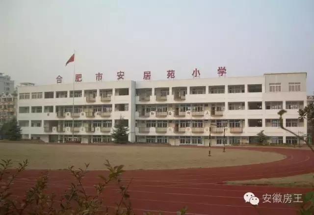 合肥哪些顶级学区房（合肥最优质小学学区房价格一览）(25)