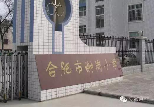 合肥哪些顶级学区房（合肥最优质小学学区房价格一览）(31)
