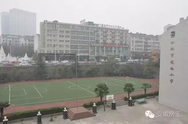 合肥哪些顶级学区房（合肥最优质小学学区房价格一览）(19)