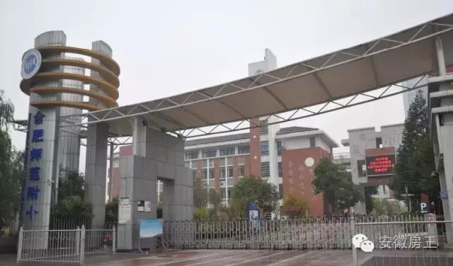 合肥哪些顶级学区房（合肥最优质小学学区房价格一览）(39)