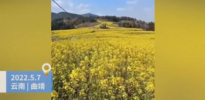 ​云南4名儿童被雷击身亡（云南多名村民遭雷击）
