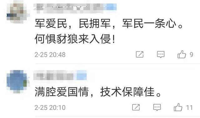 印度精锐单兵作战（带头攻击祁发宝的印度士兵）(8)