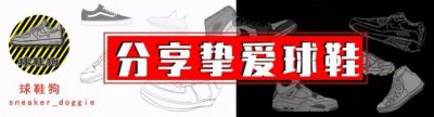 ​李宁悟道是不是篮球鞋（陷抄袭风波）