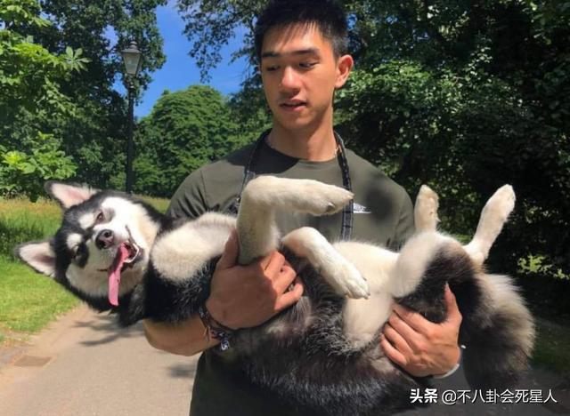 香港女星钟楚红简历（丈夫去世的香港女星）(30)