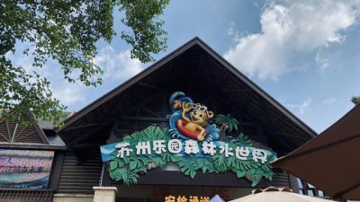 ​苏州水上乐园森林水世界游玩攻略（抛开生活琐碎事）