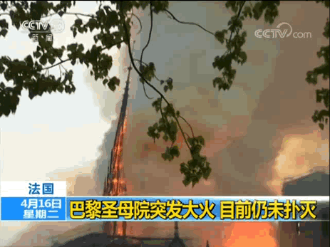 有哪些好听生僻字（网络上火爆的10个生僻字）(10)