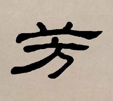 芳字取一个特别的网名