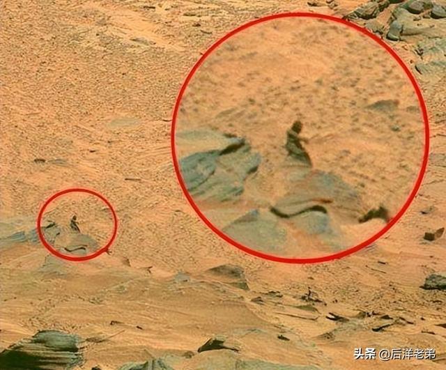 人类灭亡以后地球会灭亡吗（人类最终的归宿在何处）(4)