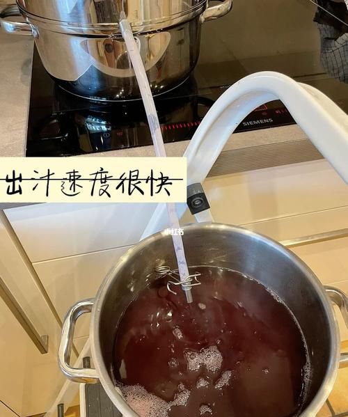 樱桃汁的制作方法,樱桃果汁的果汁的制备