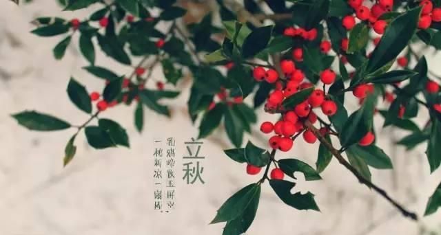 立秋象征着什么