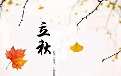 十二生肖哪个生肖代表医生