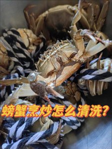 ​螃蟹的刷洗方法（清洗螃蟹的正确方法）