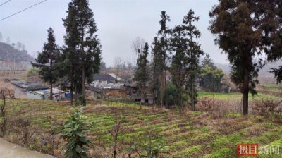 ​贵州7.32特大山体滑坡（贵州山体滑坡14名遇难者包括一对父子）