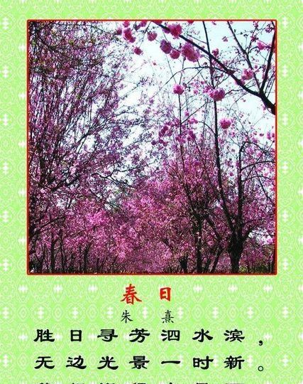 等闲识得东风面,后面一句是什么?