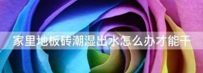 ​夏天地板砖上有水珠怎么办,屋里地板砖潮湿怎么办
