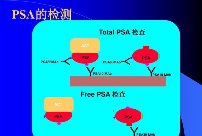 psa检查是啥检查