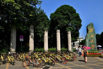 ​广西大学排行前50（2022最新广西自治区大学排名）