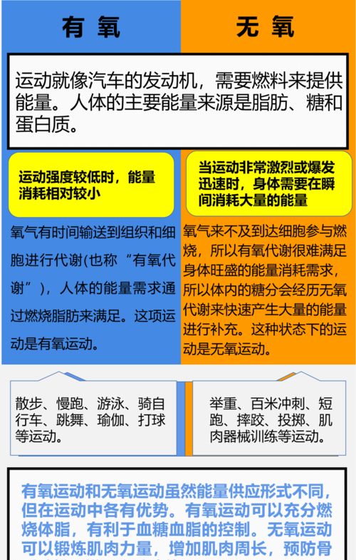 有氧运动和无氧运动分别是哪些