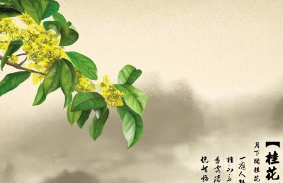 澶忓ぉ鏈変粈涔堣姳绠€绗旂敾,鍦ㄥ澶╂湁浠€涔堣姳鍥?3