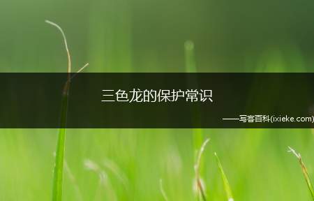 三色龙的保护常识(三色龙血树又名三色千年木)