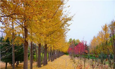 ​11月份是秋天还是冬天，阴历十月是秋天还是冬天呢？